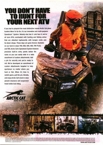 Arctic cat 2006 - cat,